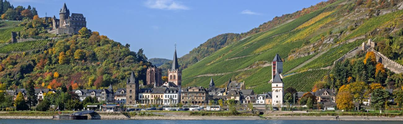 Blick auf Bacharach vom Rhein
